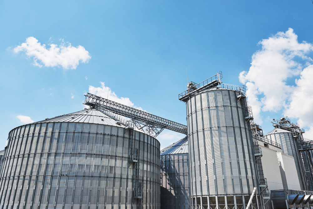Commodities agrícolas continuam sendo uma potência nacional, independente de sanções e instabilidades geopolíticas globais.